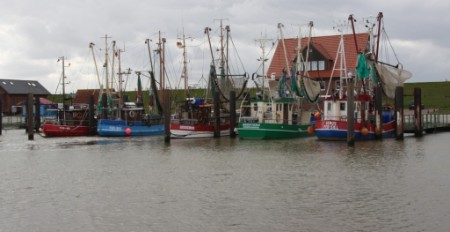 Hafen in Fedderwardersiel